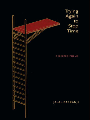 cover image of Trying Again to Stop Time